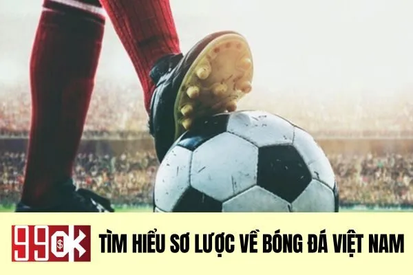 Tìm hiểu sơ lược về bóng đá Việt Nam